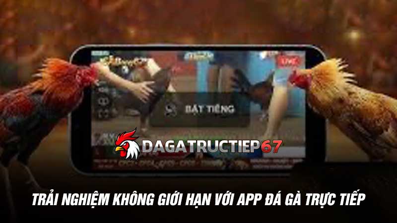 Trải nghiệm không giới hạn với app đá gà trực tiếp